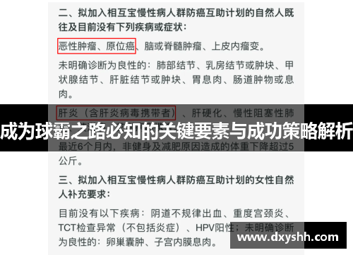 成为球霸之路必知的关键要素与成功策略解析