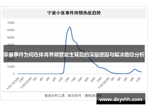 家暴事件为何在体育界频繁发生背后的深层原因与解决路径分析