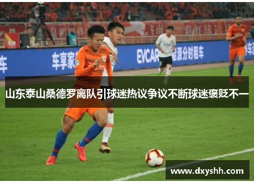 山东泰山桑德罗离队引球迷热议争议不断球迷褒贬不一