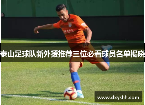 泰山足球队新外援推荐三位必看球员名单揭晓
