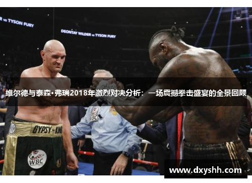 维尔德与泰森·弗瑞2018年激烈对决分析：一场震撼拳击盛宴的全景回顾