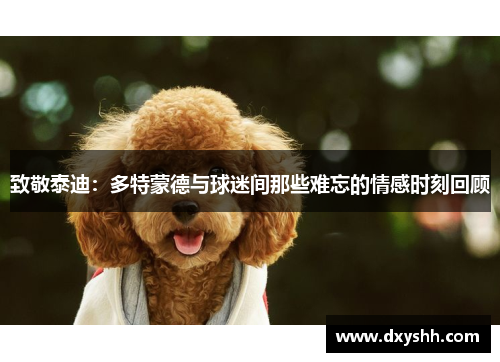 致敬泰迪：多特蒙德与球迷间那些难忘的情感时刻回顾